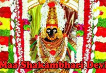 Shakambhari Devi Aarti lyrics Hindi English | शाकम्भरी देवी आरती लिरिक्स